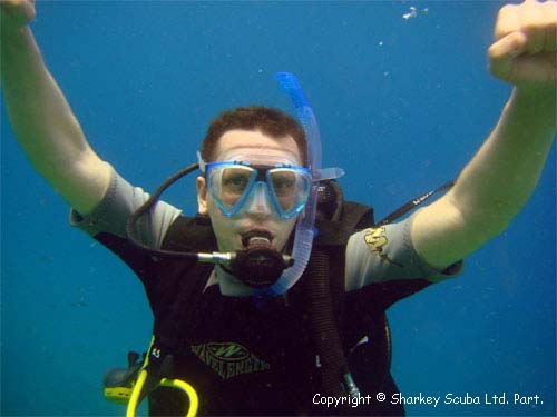 Sharkey Scuba - Happy People