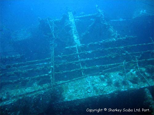 King Cruiser photograph