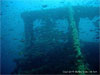 King Cruiser - Click to enlarge