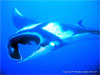 Similan Islands - Click to enlarge