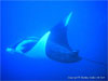 Similan Islands - Click to enlarge