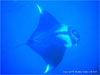 Similan Islands - Click to enlarge