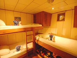 Queen Scuba - Standard bunk