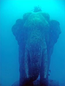 Diving Phuket with elephants