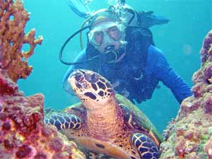 Iain with turtle at Racha Yai