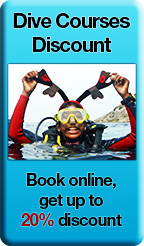 PADI student