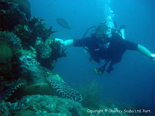 Koh Bida Nai photograph