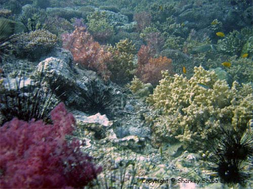 Koh Bida Nok photograph