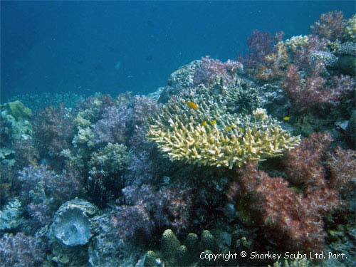 Koh Bida Nok photograph