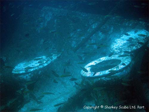 King Cruiser photograph