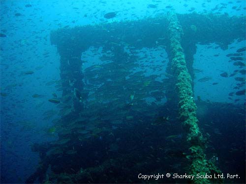 King Cruiser photograph