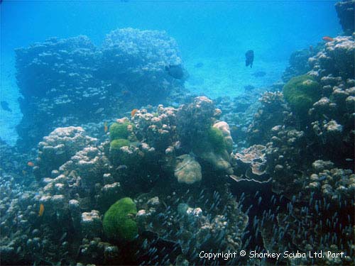 Racha Noi island photograph