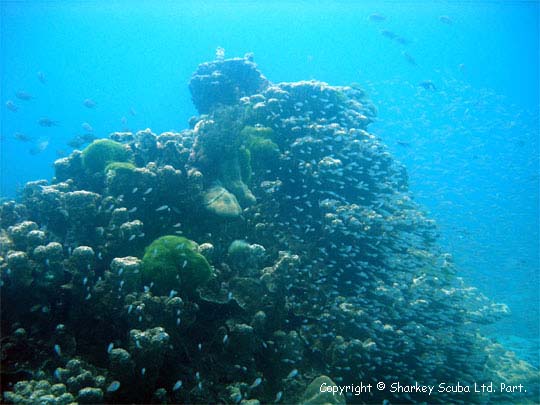 Racha Noi island photograph