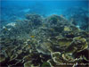 Racha Noi island - Click to enlarge