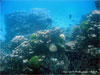 Racha Noi island - Click to enlarge