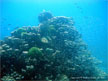 Racha Noi island - Click to enlarge
