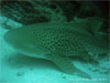 Racha Noi island - Click to enlarge