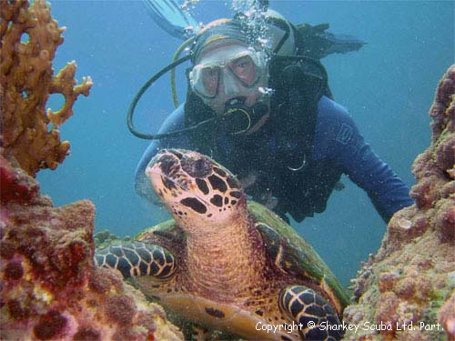Racha Yai island photograph