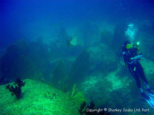 Similan Islands Photograph