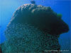 Similan Islands - Click to enlarge