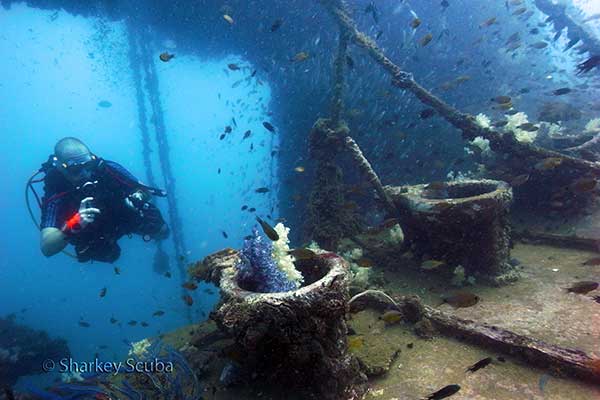 King Cruiser wreck Phuket