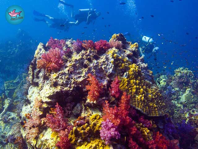 PADI Scuba Diver Upgrade Kurs Phuket