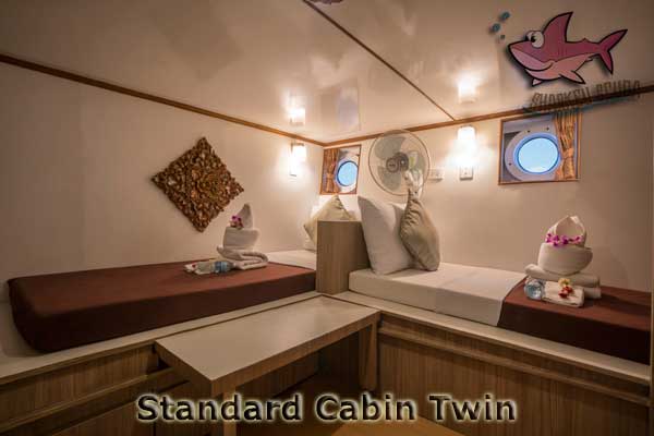 MV Pawara - standard twin cabin