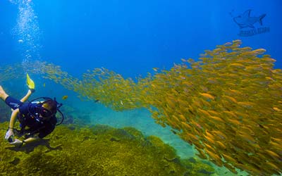 Racha Noi Island, Phuket