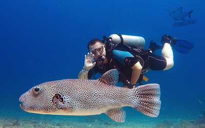 Racha Noi and Yai Islands, Phuket