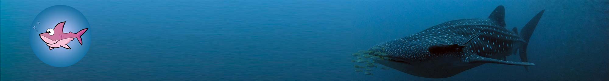 Scuba Diving Phuket Thailand